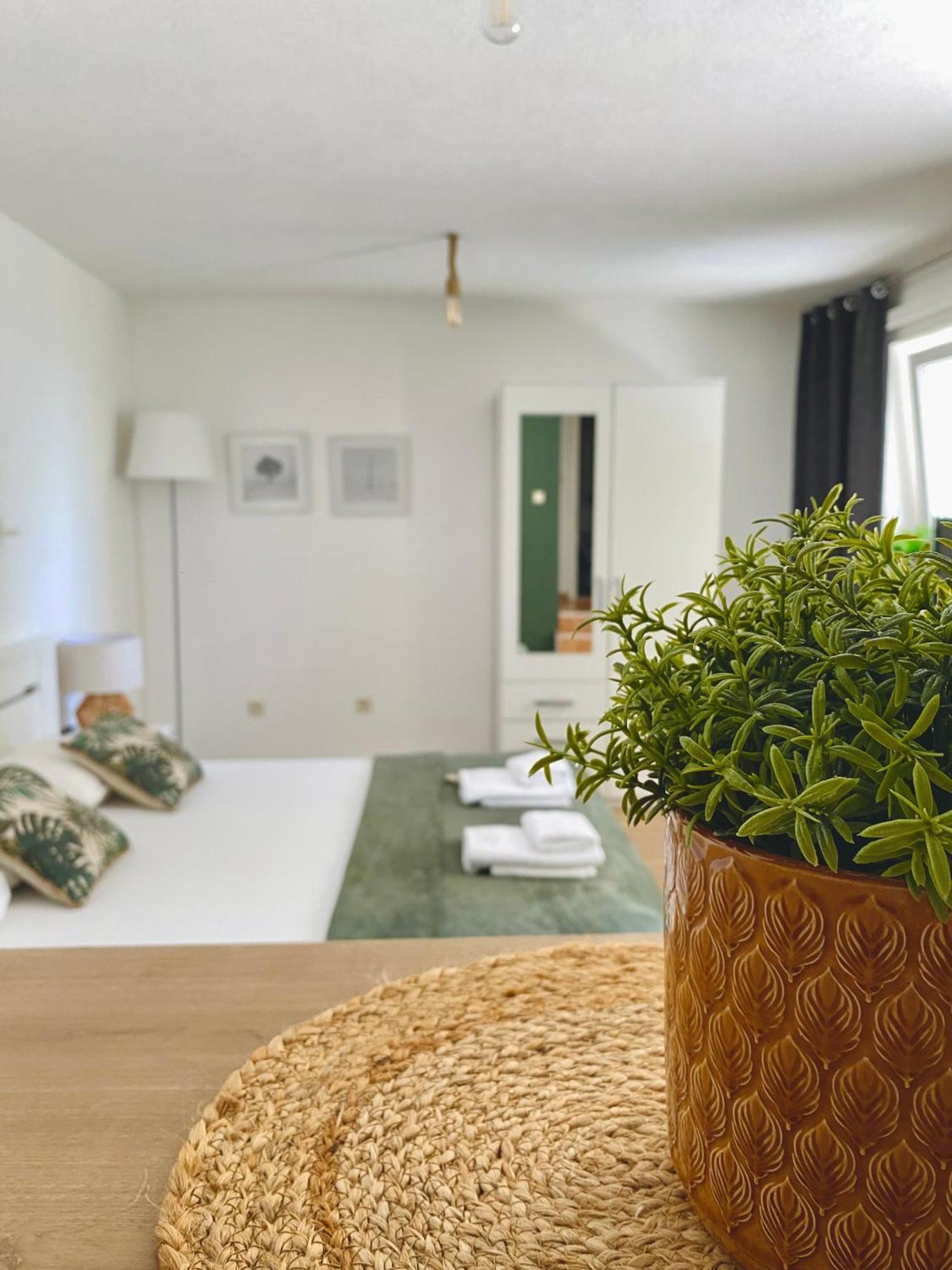 Apartments & Rooms Joy Of Life In Makarska Zewnętrze zdjęcie
